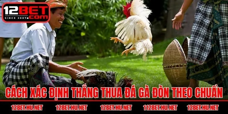 Cách xác định thắng thua đá gà đòn theo chuẩn