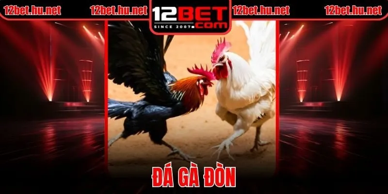 Đá Gà Đòn 12BET Chuẩn Mực Truyền Thống Bản Sắc Bền Vững
