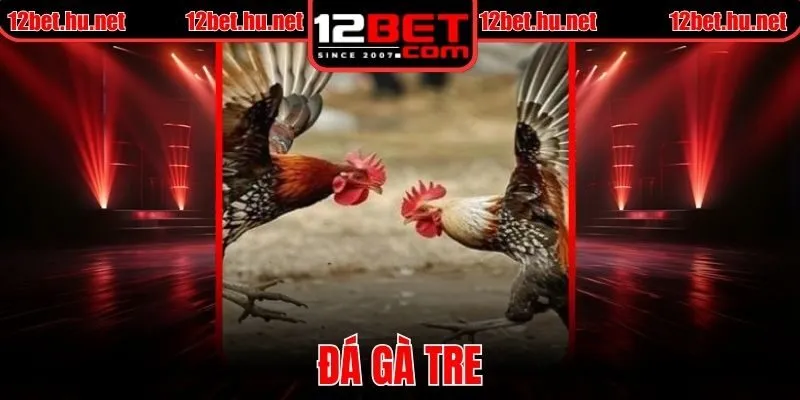 Đá Gà Tre Chuyên Nghiệp 12BET Cùng Phương Pháp Hiệu Quả