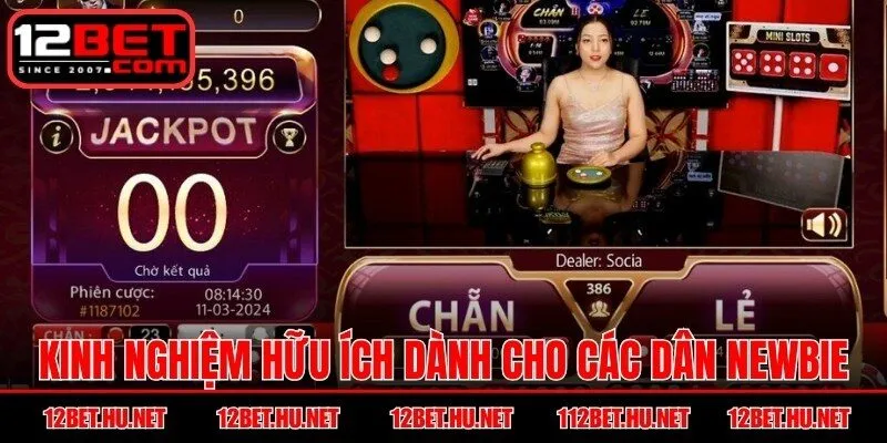 Kinh nghiệm hữu ích dành cho các dân newbie