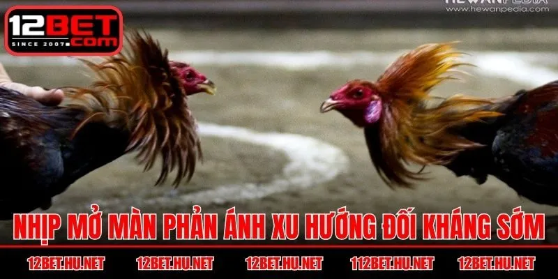 Nhịp mở màn phản ánh xu hướng đối kháng sớm