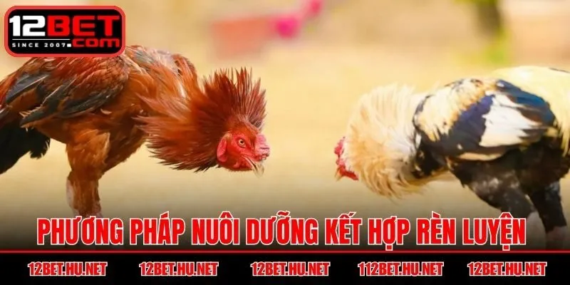 Phương pháp nuôi dưỡng kết hợp rèn luyện thể lực