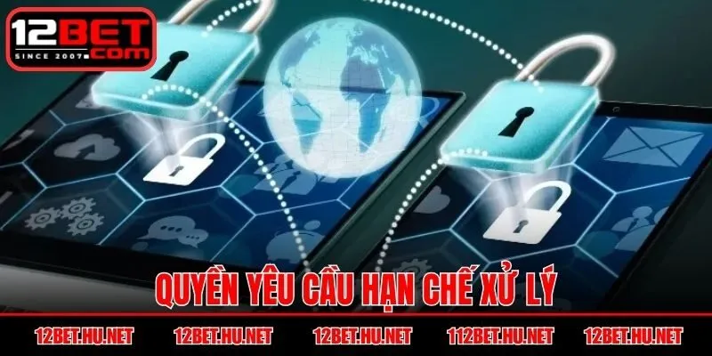 Quyền yêu cầu hạn chế xử lý, khiến người chơi yên tâm