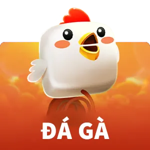 Sảnh Đá Gà 12BET